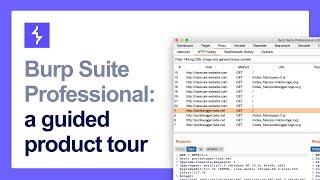 A guide to the Burp Suite user interface