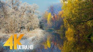 4K Short Cinematic Video - Autumn Gold and Winter Silver - South Ural, Russia