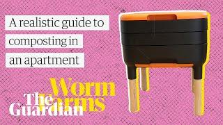 Guide to composting in an apartment: Worm farming