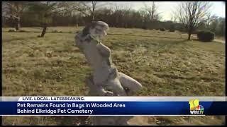 No charges after disturbing discovery at forgotten pet cemetery