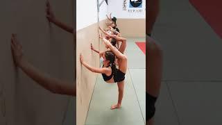 GIMNASIA - Nueva flexibilidad facil para trabajar en casa. Flexibilidad y equilibrio.