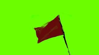 Real Waving Flag Red - Green Screen Animation