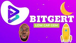 BITGERT (BRISE) - Crypto Token -  AUDIT  -  Analysis & Price Prediction  - Low Cap Gem 100X