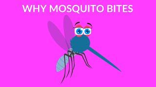 Why Mosquito Bites | Facts and Tips | Cartoon Video