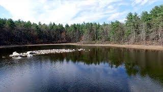 CAT Track - Grassy Pond