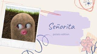 Señorita - potato edition