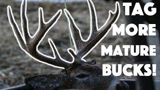 3 RULES To Tag Mature Bucks MORE CONSISTENTLY