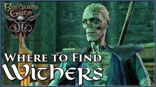 Baldur's Gate 3 Where to Find Withers | How to Respec / Change Your Class