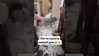 ШОК!!! Проще купить новый Дом. Посмотри что Дети Сделали с Домом