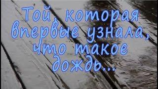 Л.Енгибаров "Клоун с Осенью в Сердце" - Той, которая впервые узнала, что такое дождь