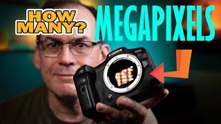 HOW MANY MEGAPIXELS DO YOU NEED?  YOU MAY BE SURPRISED!