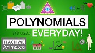 What are POLYNOMIALS used for? REAL LIFE Situations | Animated Introduction to Polynomials (Part 1)