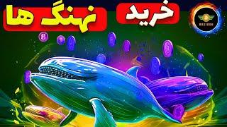 نهنگ ها خریدند| جهش حجمی این ارزها