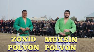 Zoxid polvon Muxsin polvon Bugun Sariosiyoda katta kurash tavoqlar boshlandi 7.11.2024