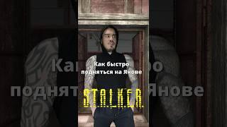 Как дюпать Золотую Рыбку в #STALKER Зов Припяти