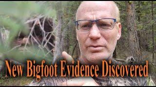 New Bigfoot evidence discovered