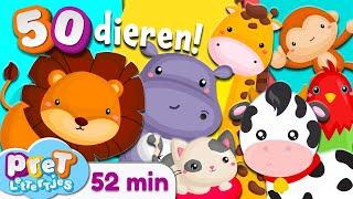 Pretlettertjes • Alle 50 Dierengeluiden • 52 min Special • Voor Baby Dreumes en Peuter • Nederlands