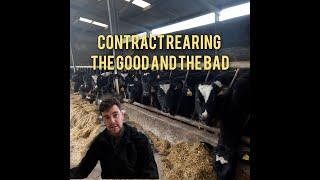 CONTRACT REARING DAIRY HEIFERS: THE PROS AND CONS