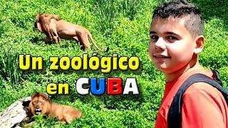 Un zoológico en Cuba