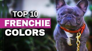 Top Ten French Bulldog Color Trends (2020)