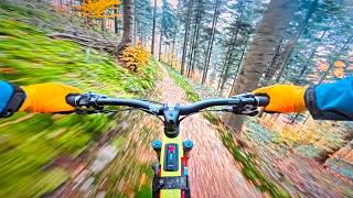 NEUE BIKE MARKE, NEUE ACTION-CAM,  CRASH & VIELE FRAGEN  #QnA #FAQ