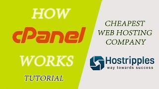 Learn How cPanel Works in Easy Way | Tutorial for Beginners In cPanel | Web Hosting cPanel