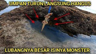 Tak Disangka!!! Mancing belut moray umpan cicak langsung disambar