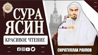 Сиратуллах Раупов Сура Ясин " красивое чтение " слушайте каждый день #Ясин #Yasin