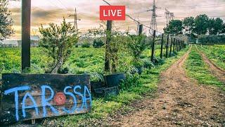 Creare un'AZIENDA AGRICOLA in PERMACULTURA. Non solo coltivazione 