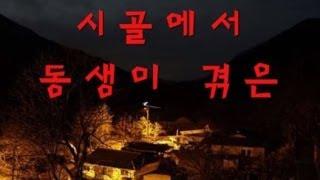 [쌈무이-단편] 시골에서 동생이 겪은 실화 (괴담/무서운이야기/공포/귀신/호러/공포이야기/심령)