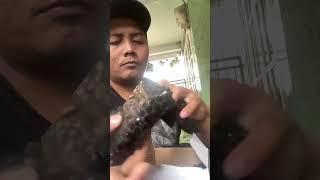 Zoonk!!!... unboxing tools by toko orange #tokopedia #lazada #shopee #bukalapak #tiktok #snackvideo