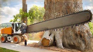 Extreme Dangerous Biggest Chainsaw Felling Tree Skill Working, Incredibly Modern Woodworking Factory