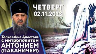 Четверг, 2 ноября 2023 года. Толкование Апостола с митр. Антонием (Паканичем).