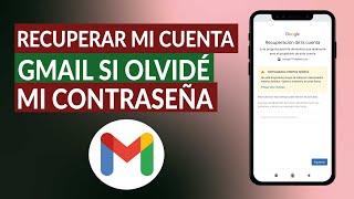 Cómo recuperar mi cuenta GMAIL si olvidé mi contraseña