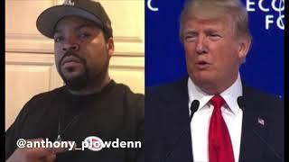 Ice Cube Working With Donald Trump