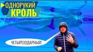 Однорукий кроль. Как плыть и дышать правильно? Четырехударный кроль