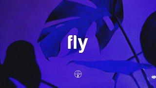  (free) CALVIN HARRIS x DEEP HOUSE TYPE BEAT 2021 - fly | Bouncy Piano Pop House Instrumental