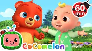 Play with My Bestie Bear Boba!  | CoComelon Nursery Rhymes and Kids Songs | Animals for Kids