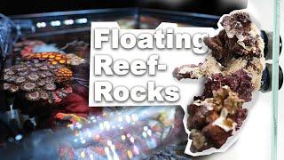 Unsere FLOATING REEF ROCKS von "Reef Art & Design" *jetzt erhältlich*