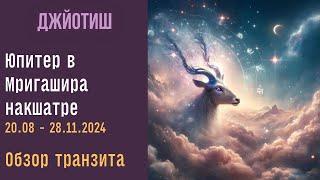 Проверки в отношениях. Новые возможности. Юпитер в Мригашире  с 20 августа 2024 | Джйотиш