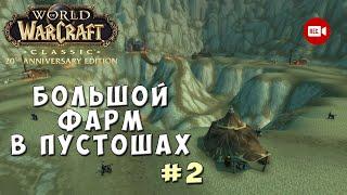 Большой фарм в Пустошах #2 - WoW Classic Anniversary Edition