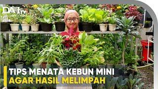 Tips Menata Kebun Mini dari MGB Garden