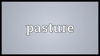 Pasture Meaning