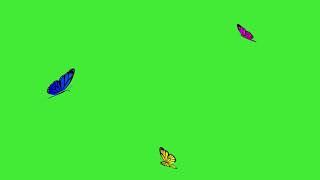 Flying Butterflies. Green Screen.