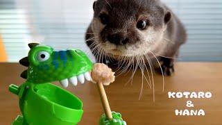 Pranking the Otters with a Lollipop Dino-Robot