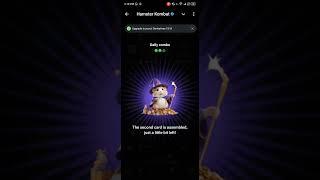 hamster kombat daily combo.hamster kombat daily combo today