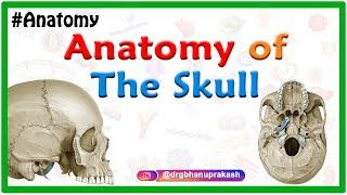 Anatomy of the Skull: Norma basalis ( Anterior part , Middle part and Posterior part )