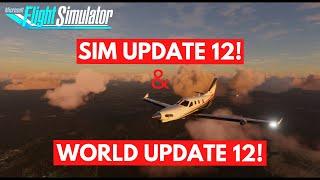 Big Updates and 2023 | WU12 & SU12 | Microsoft Flight Simulator