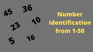 Number Identification 1-50 | Random Numbers | Number Recognition 1-50 for kindergarten