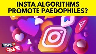 Instagram Algorithm 2023 Explained: Paedophiles Enabled To Find Child Pornography? | News18